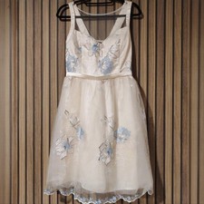 Beautiful Quiz Dress Cream